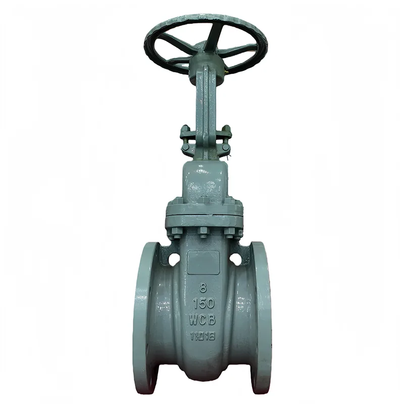 Katup Gerbang Flange ANSI Baja Karbon